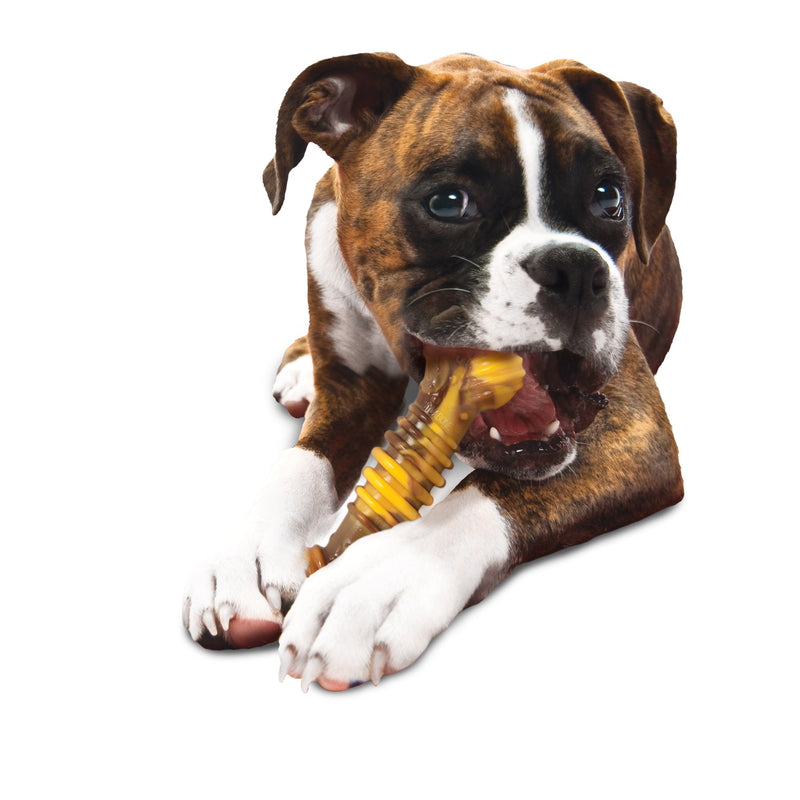 Nylabone Flavor Frenzy Power Chew Durable Dog Chew Toy Philly Cheesesteak, 1ea/XL/Souper  50 Lbs. 1 ct