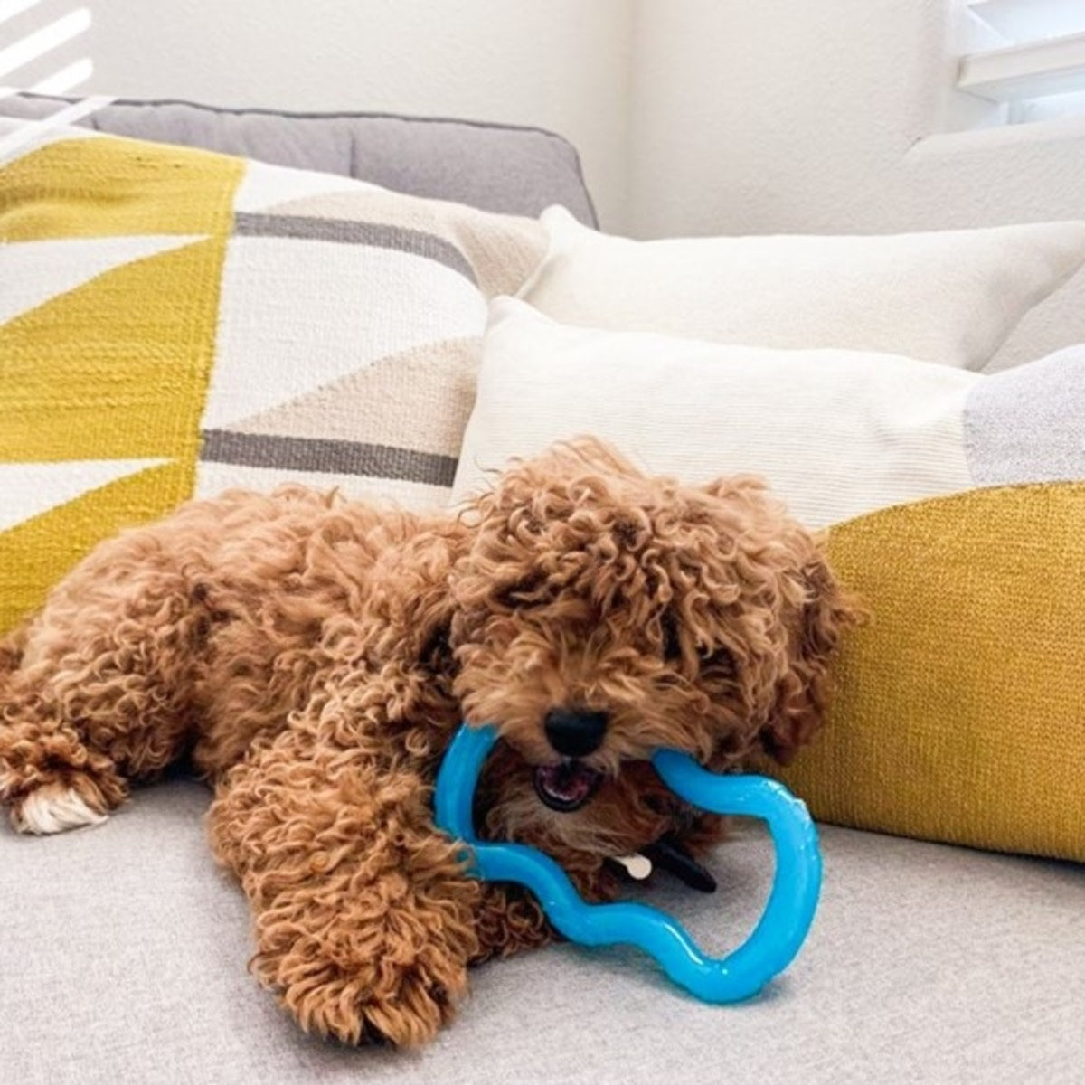 Nylabone Puppy Tug Translucent Blue
