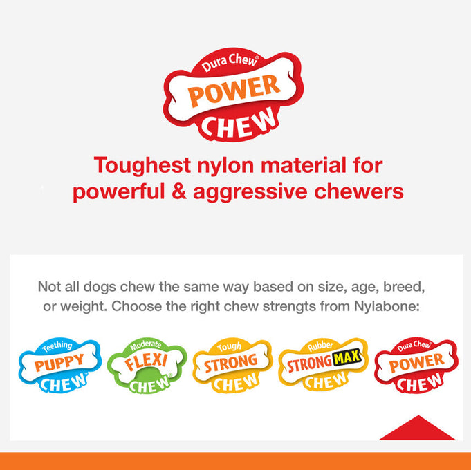 Nylabone Power Chew Flavor Frenzy Durable Dog Chew Toys Twin Pack Funnel Cake  Shish Kabob, 1ea/Large/Giant  Up To 50 Lbs. 2 ct