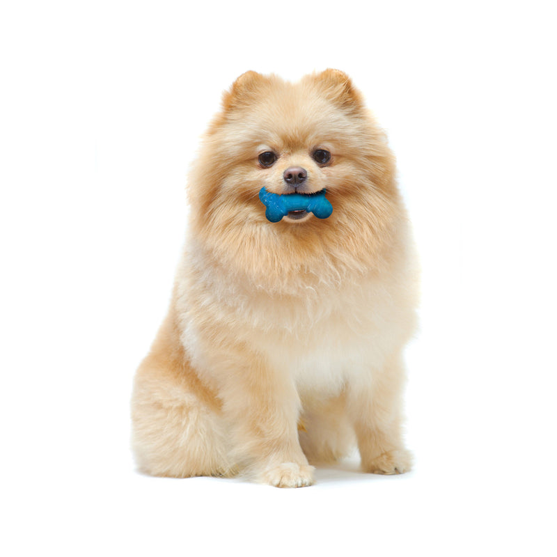 Nylabone Moderate Chew FlexiChew Bone Peanut Butter  Bacon, Orange  Blue, 1ea/XXS/Tiny  Up To 8 Lbs. 2 ct
