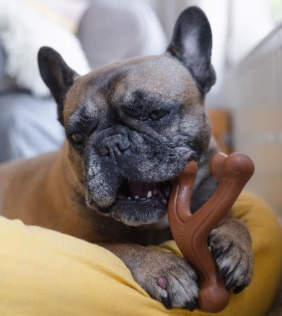 Nylabone Power Chew Wishbone Giant