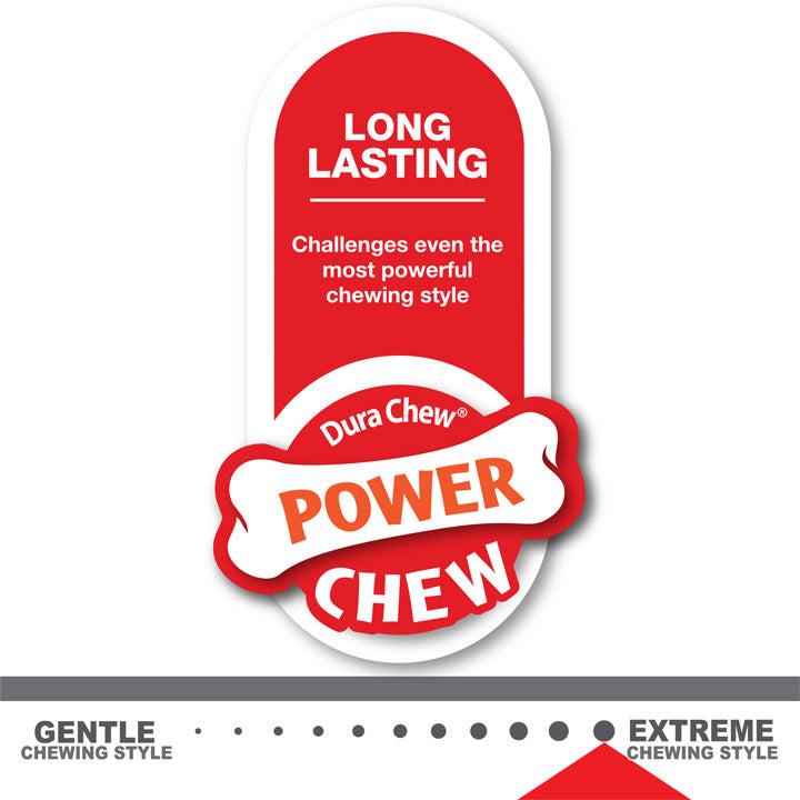 Nylabone Power Chew Wishbone Giant
