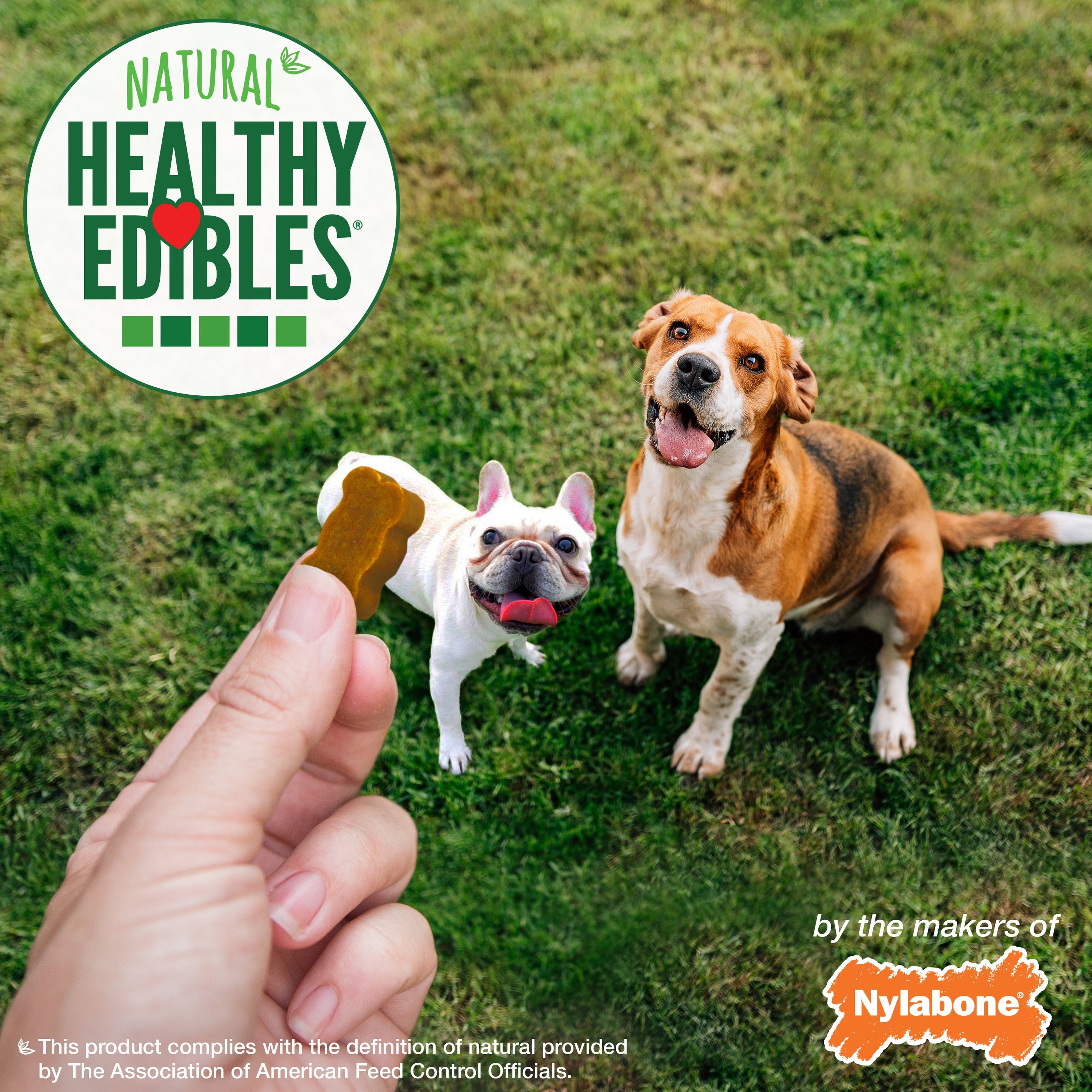 Nylabone Healthy Edibles Chewy Bites Soft Dog Treats Chicken, 6 oz 1 ct