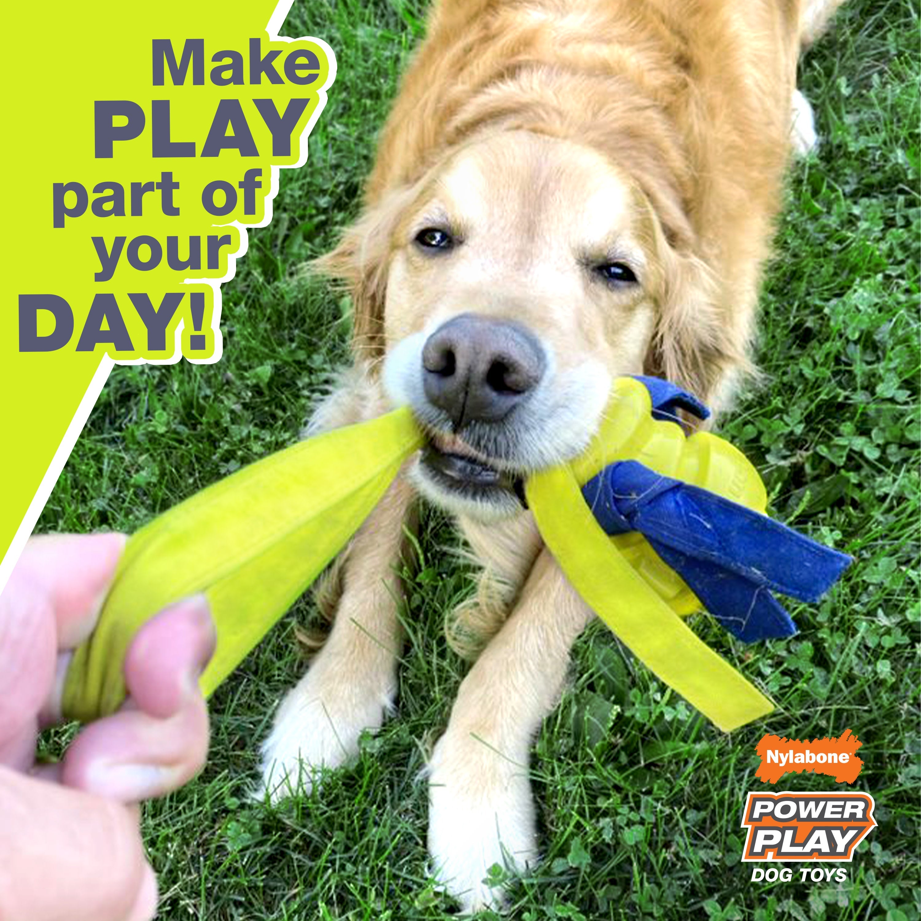 Nylabone Power Play Tennis Gripz  Tennis Balls for Dogs 1ea/SMall/Regular  Up To 25 Ibs. 1 ct