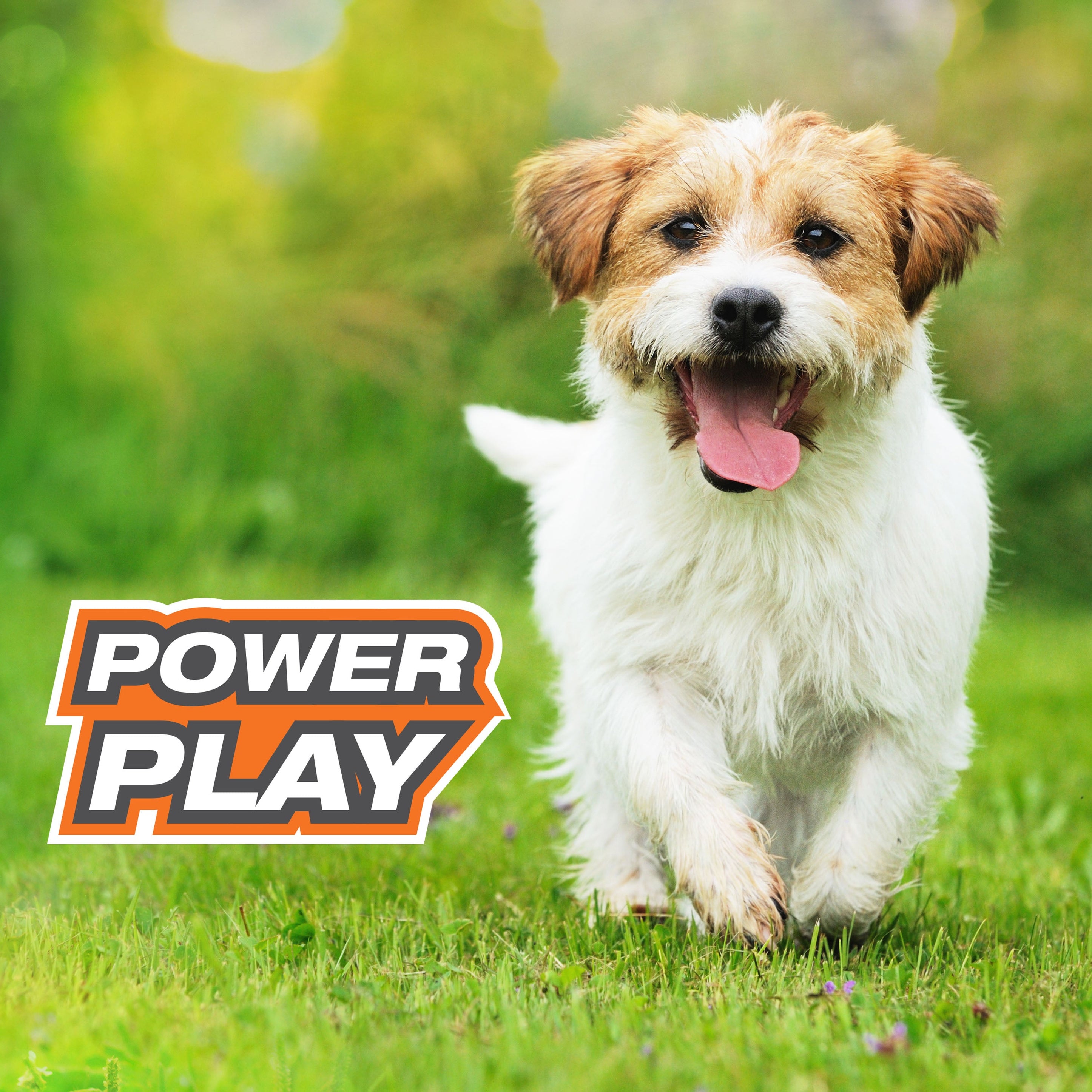 Nylabone Power Play Tennis Gripz  Tennis Balls for Dogs 1ea/SMall/Regular  Up To 25 Ibs. 1 ct