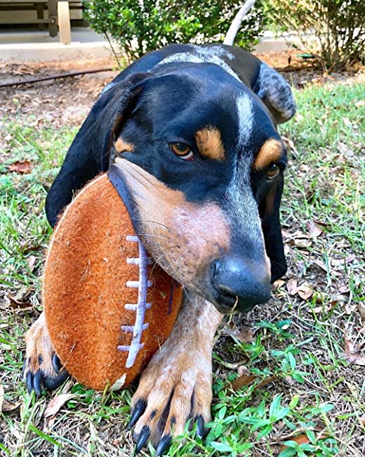 Nylabone Power Play Football Gripz Medium