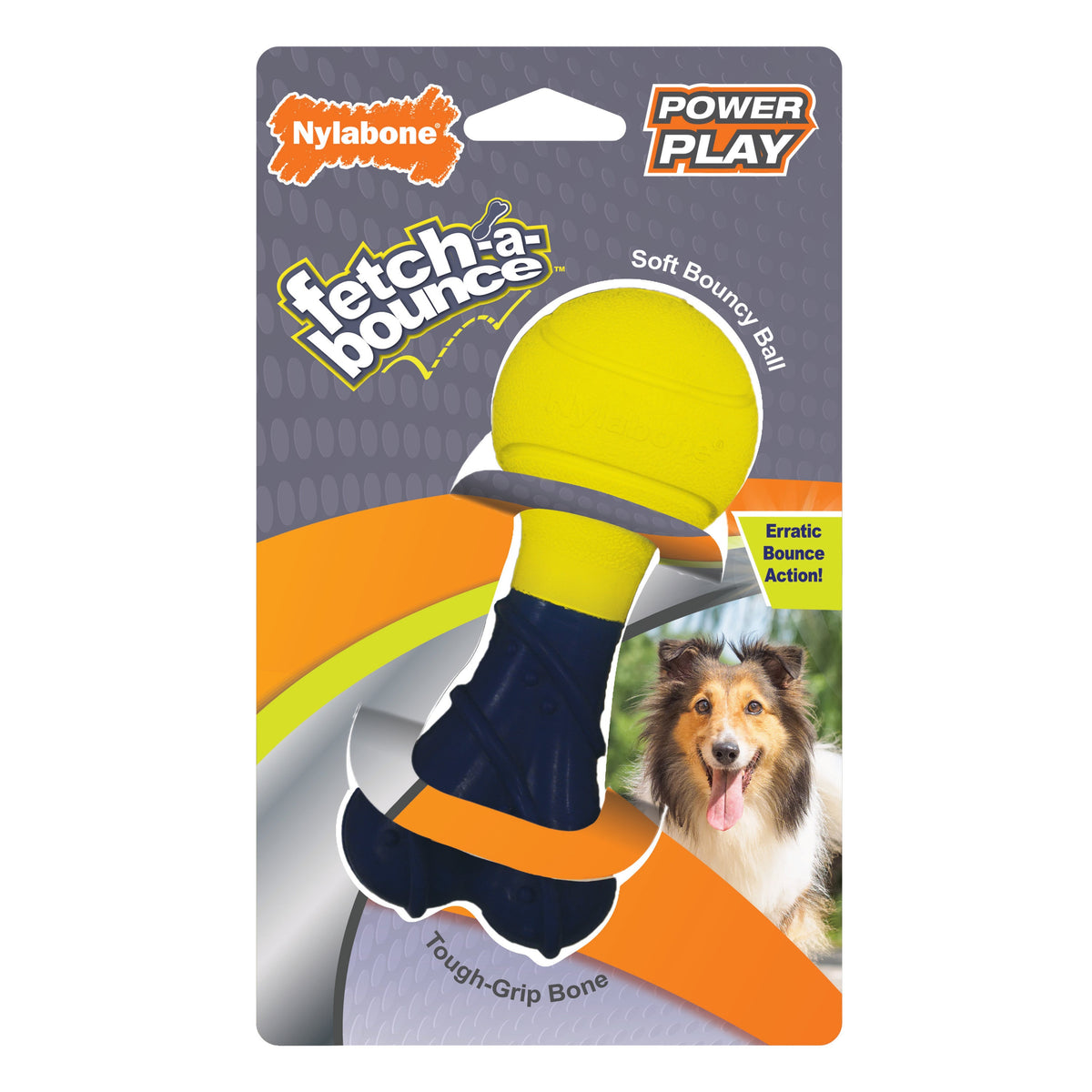 Nylabone Play Fetch-A-Bounce