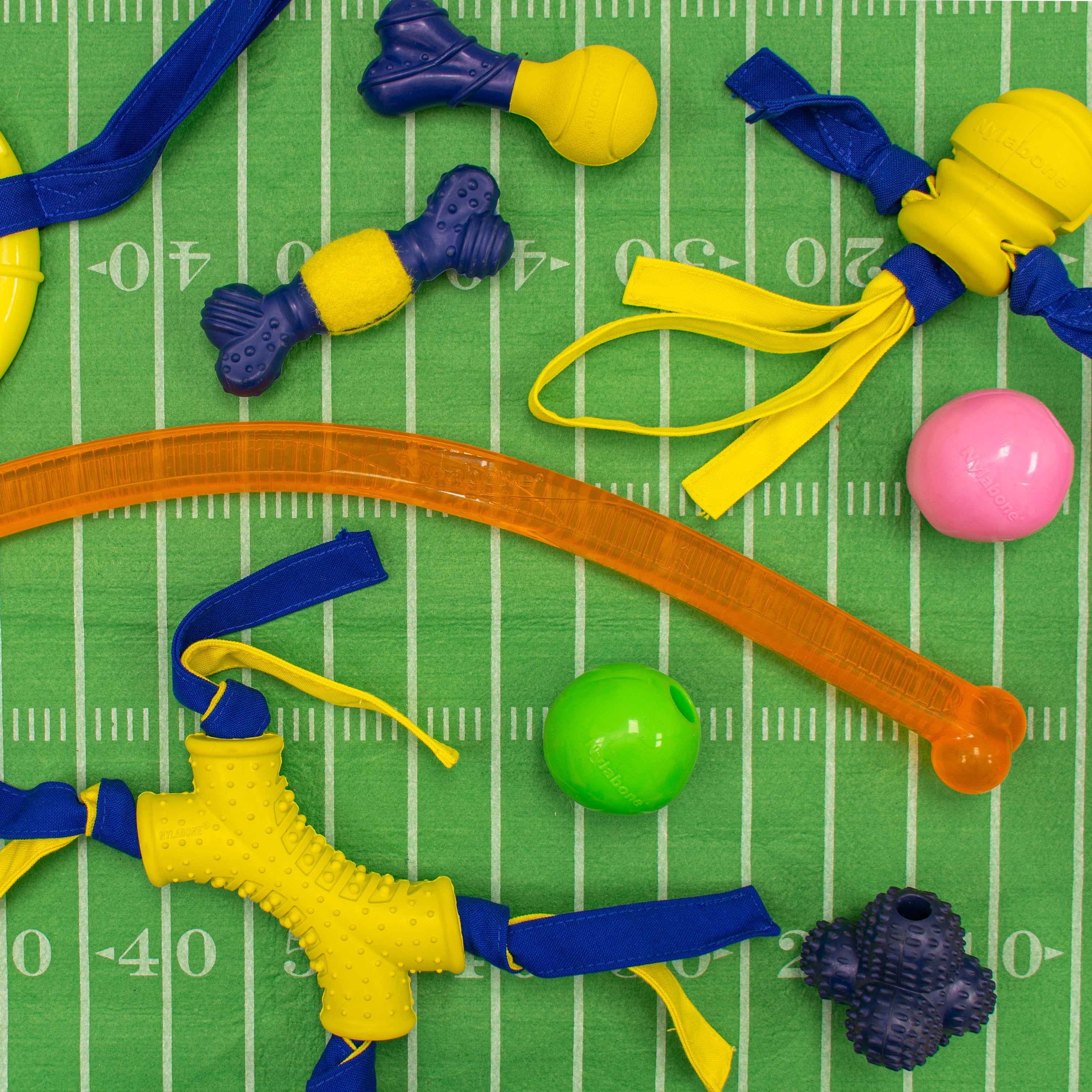 Nylabone Power Play Ball for Dogs Crazy Ball 1ea/Large/Giant  Up To 50 Lbs. 1 ct