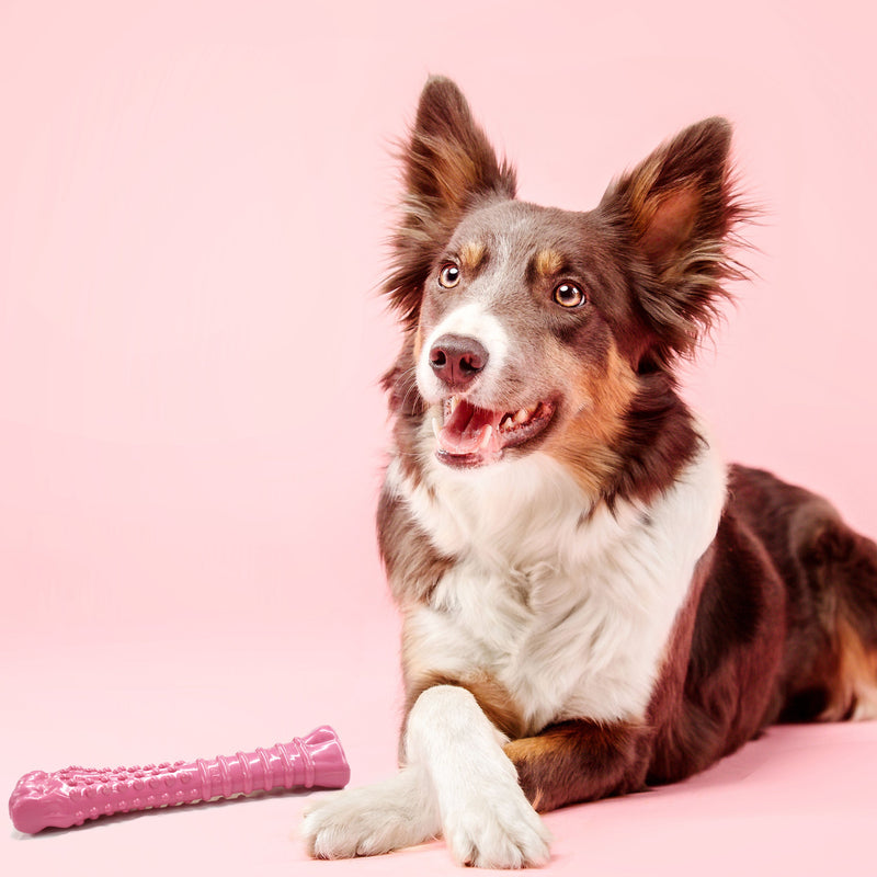 Nylabone Power Chew Breast Cancer Awareness Pink Souper Bone Dog Chew Toy Chicken, 1ea/XL/Souper  50 Lbs. 1 ct