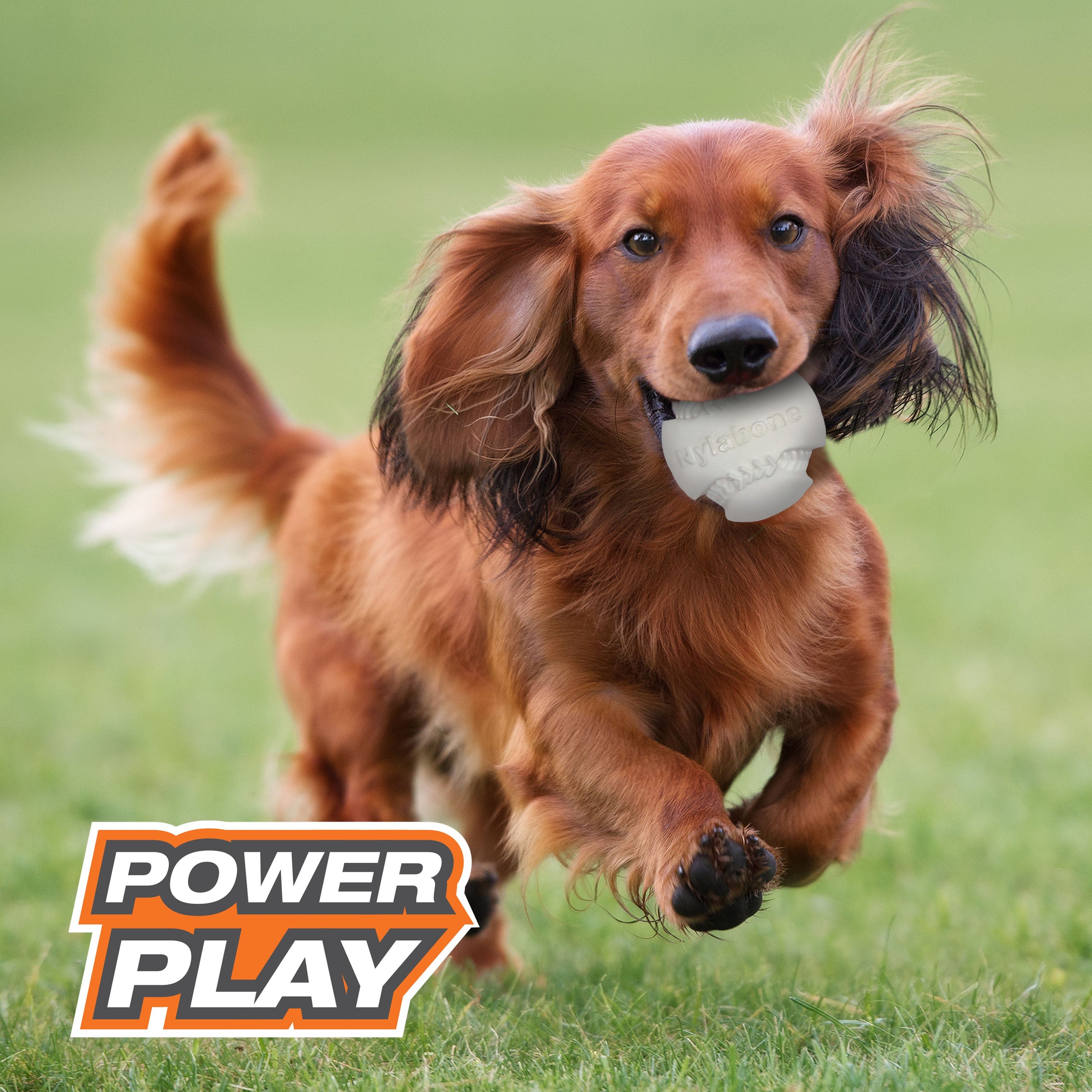 Nylabone Power Play Dog Baseball Gripz 1ea/Medium/Wolf  Up To 35 Lbs. 1 ct