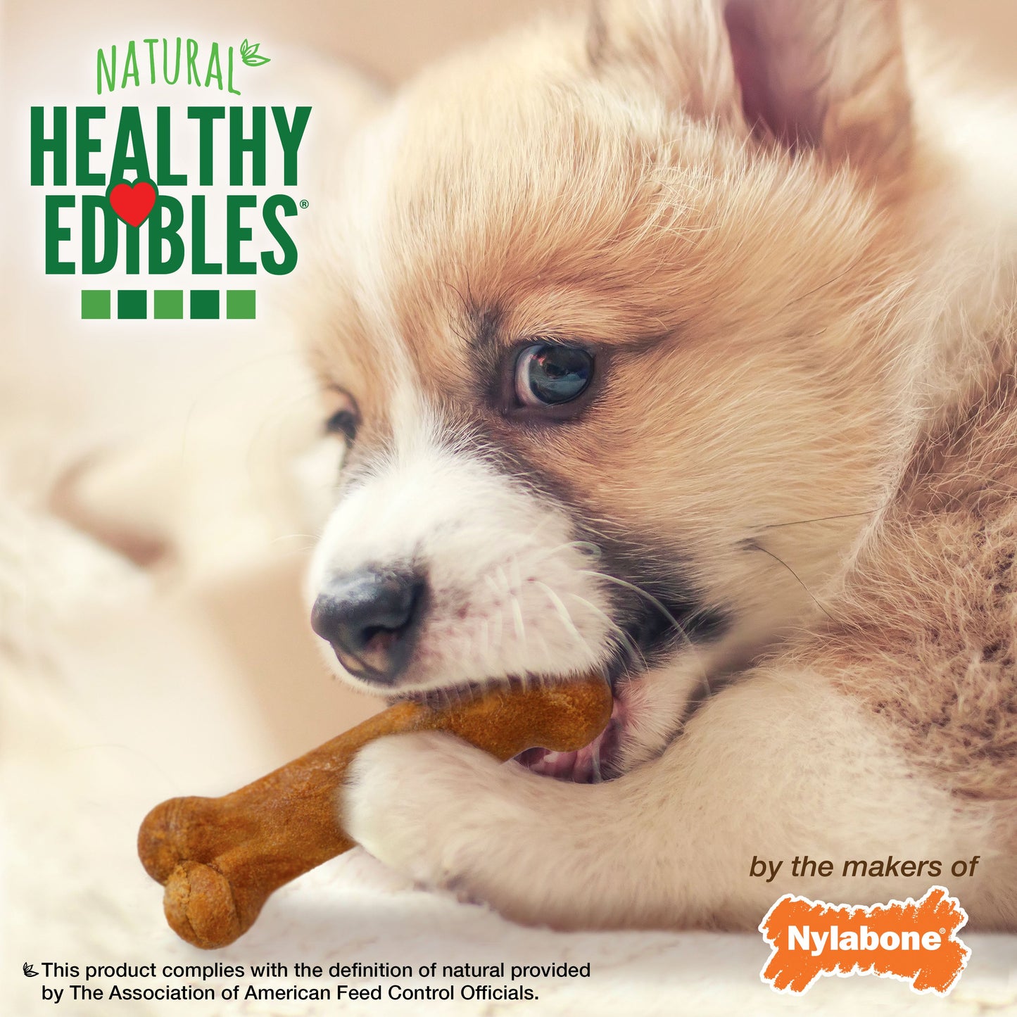 Nylabone Healthy Edibles Puppy Turkey  Sweet Potato Dog Chew Treats Turkey  Sweet Potato, XS/Petite  Up To 15 Lbs. 16 ct