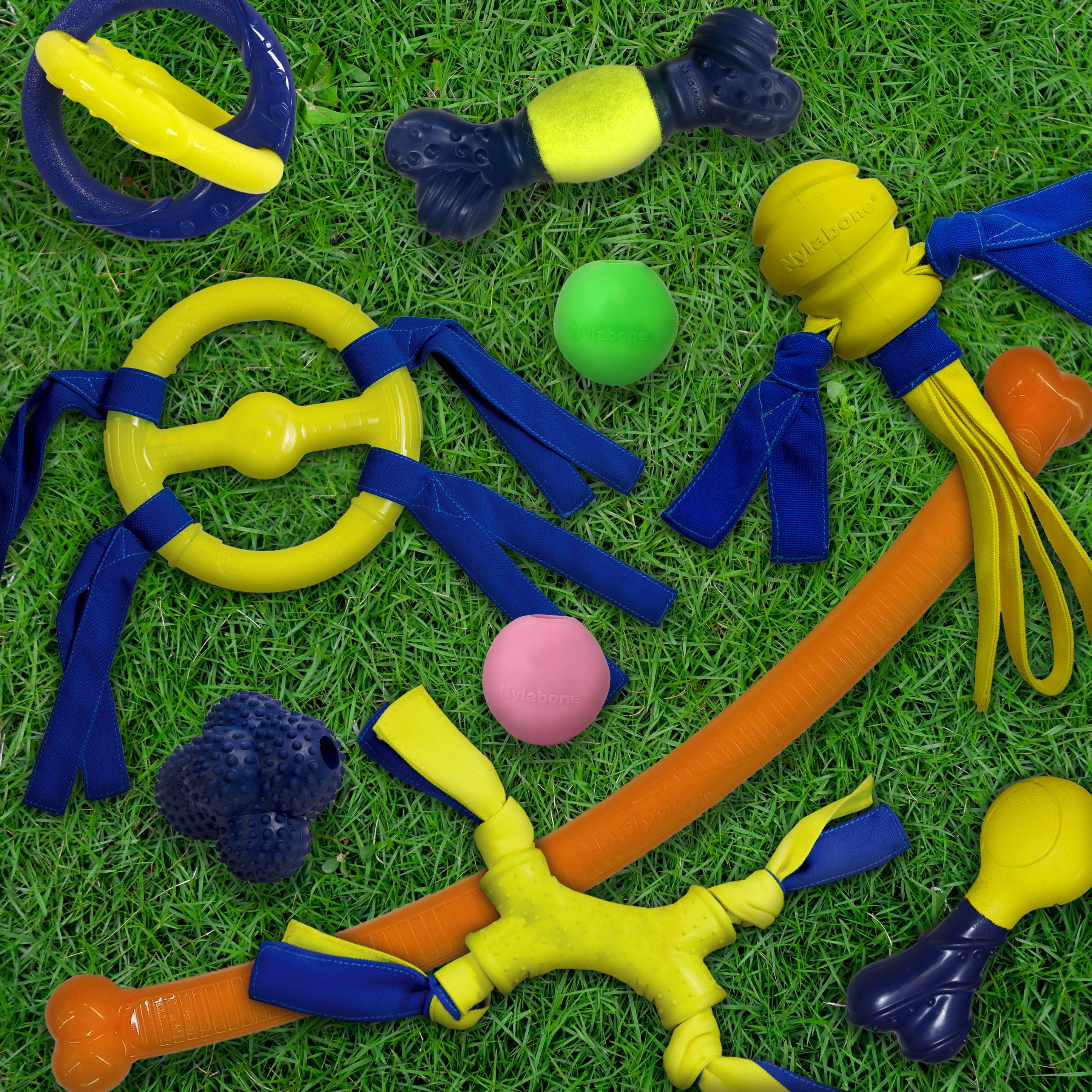 Nylabone Power Play Crazy Stick Dog Toy 1ea/1 ct