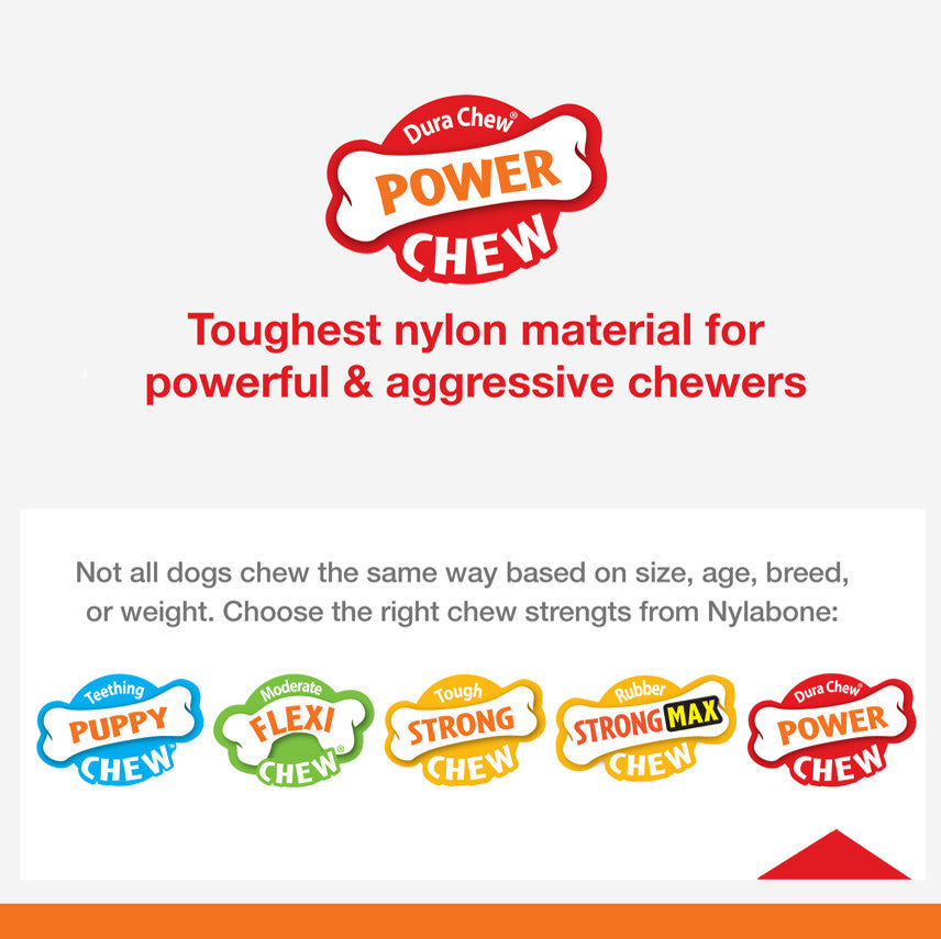 Nylabone Silver Collection Power Chew Wishbone Chew Toy for Senior Dogs Bison Flavor 1ea/Large/Giant - Up To 50 lb
