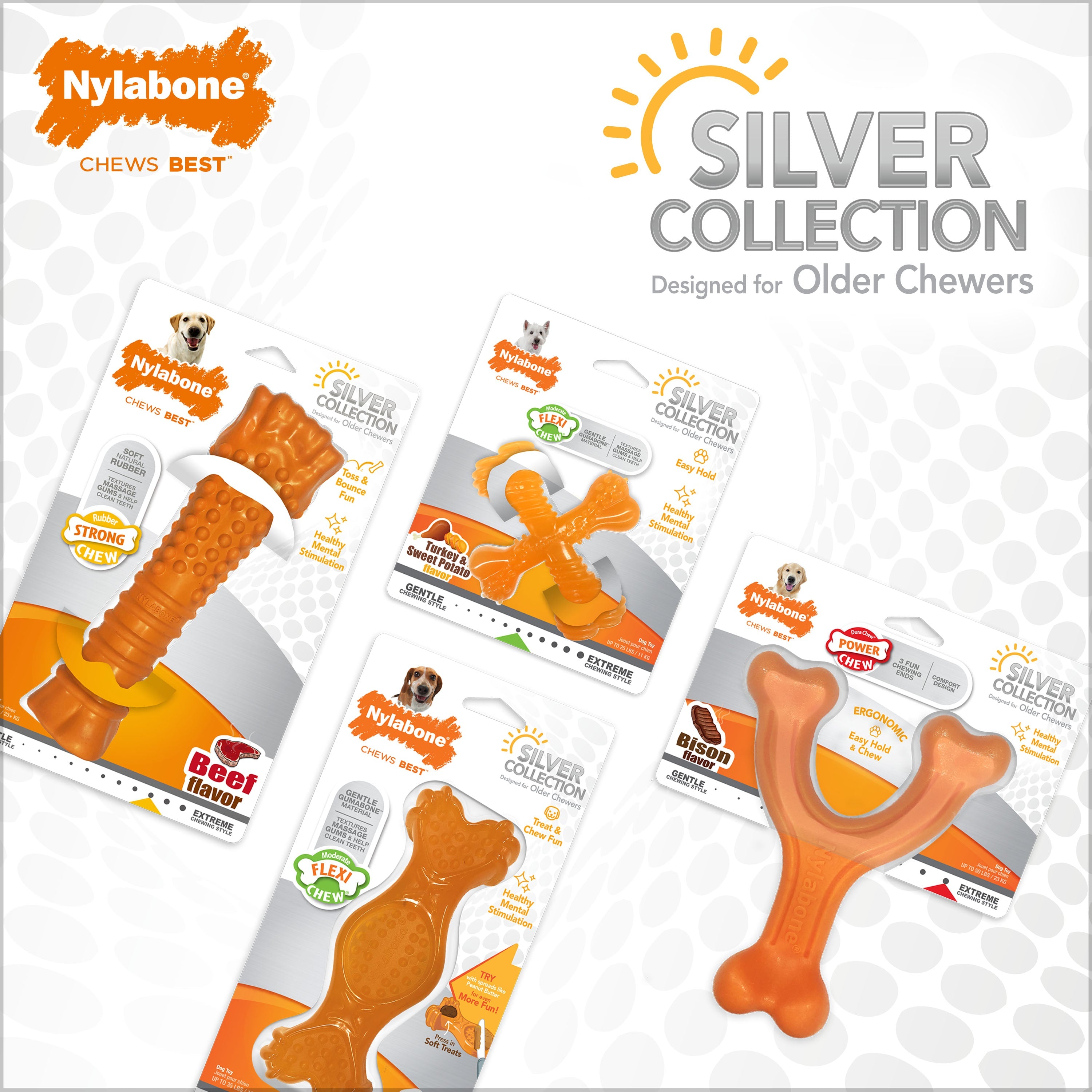 Nylabone Silver Collection Power Chew Wishbone Chew Toy for Senior Dogs Bison Flavor 1ea/Large/Giant - Up To 50 lb