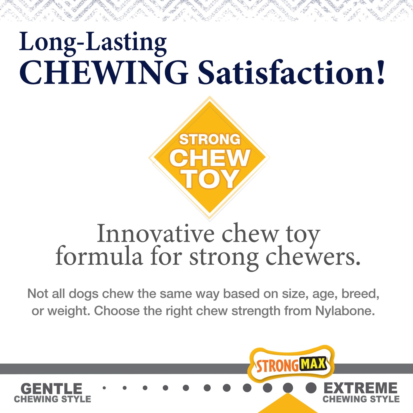 Nylabone Gourmet Style Strong Chew Wishbone Dog Chew Toy Bacon, 1ea/Large/Giant  Up To 50 Lbs. 1 ct