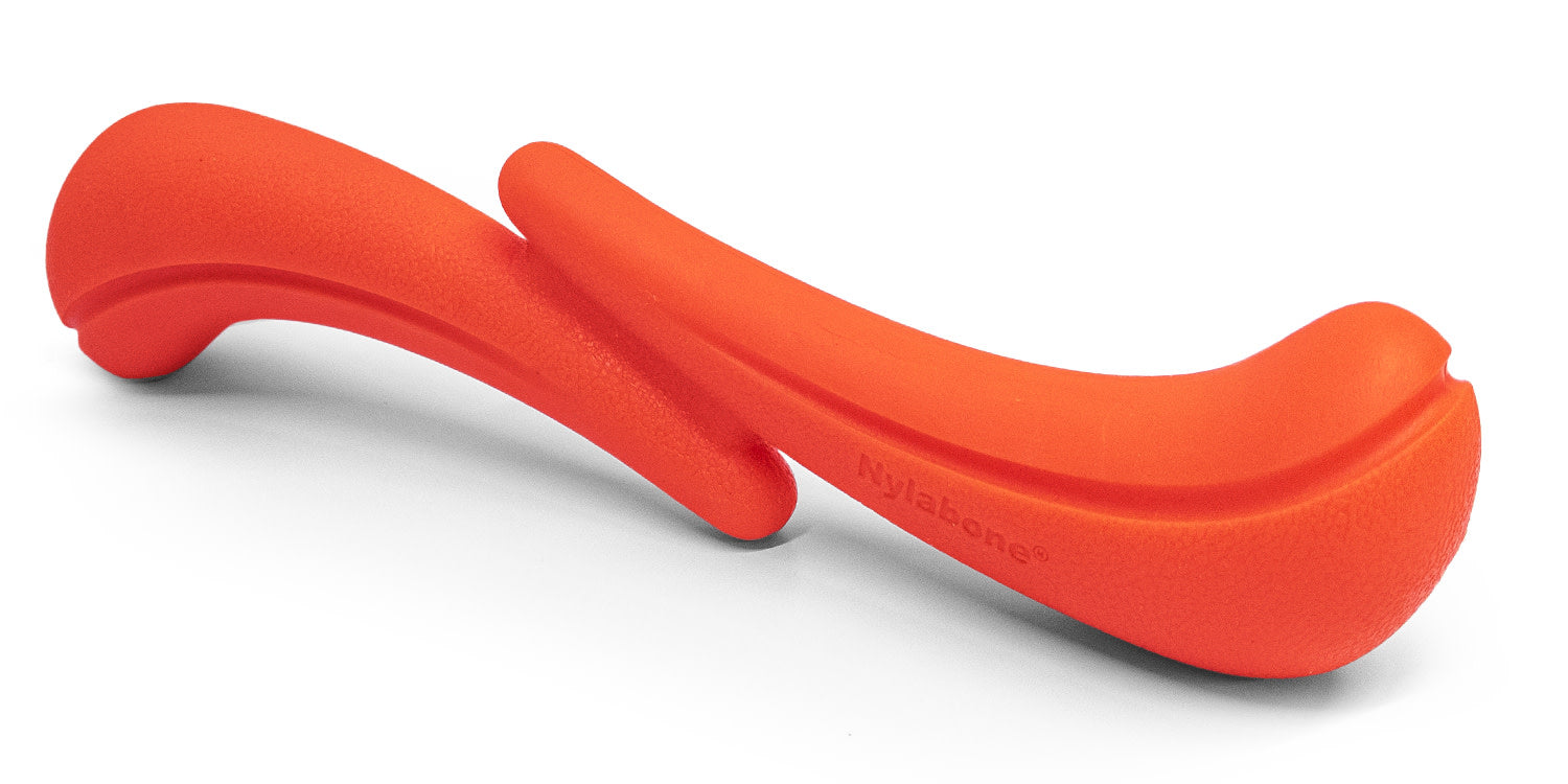Nylabone Creative Play Stik-Go Dog Toy