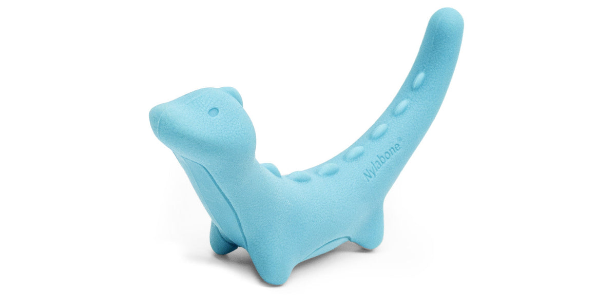 Nylabone Creative Play Rexii Interactive Dog Toy Blue, 1ea/SMall/Regular  Up To 25 Ibs. 1 ct