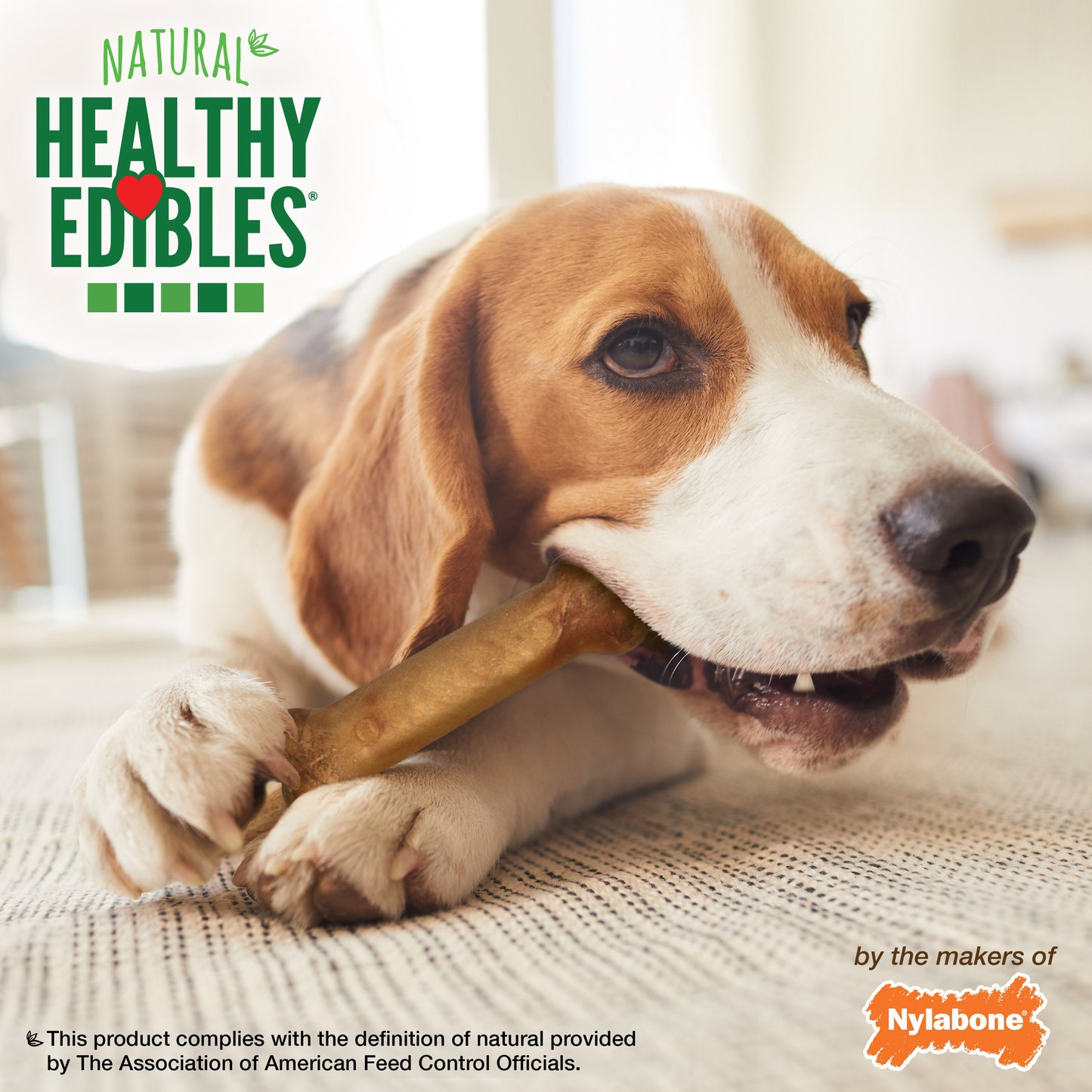 Nylabone Healthy Edibles AllNatural Long Lasting Chew Treats Bacon, 1ea/Medium/Wolf  Up To 35 Lbs. 12 ct