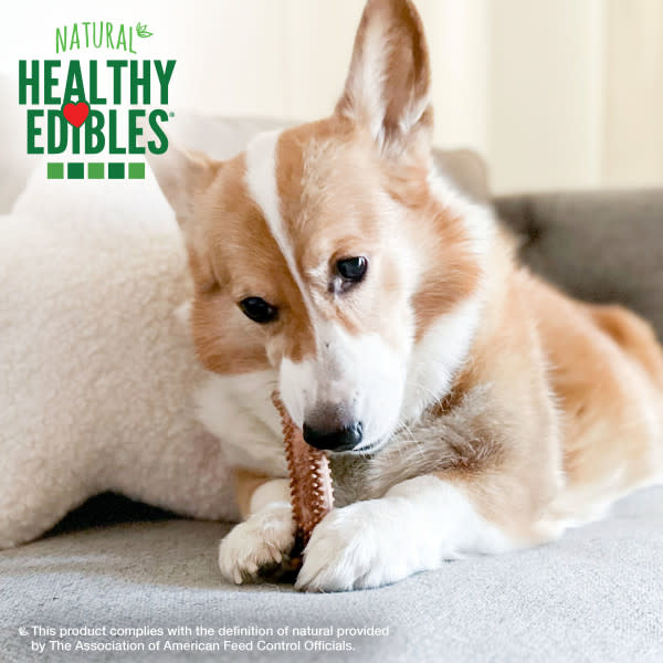 Nylabone Natural Healthy Edibles Meaty Center Dog Treats Beef Small 12ct