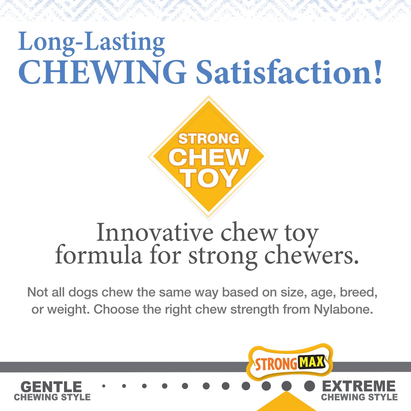 Nylabone Gourmet Style Strong Stick Puppy Chew Toy Chicken, 1ea/Medium/Wolf  Up To 35 Lbs. 1 ct