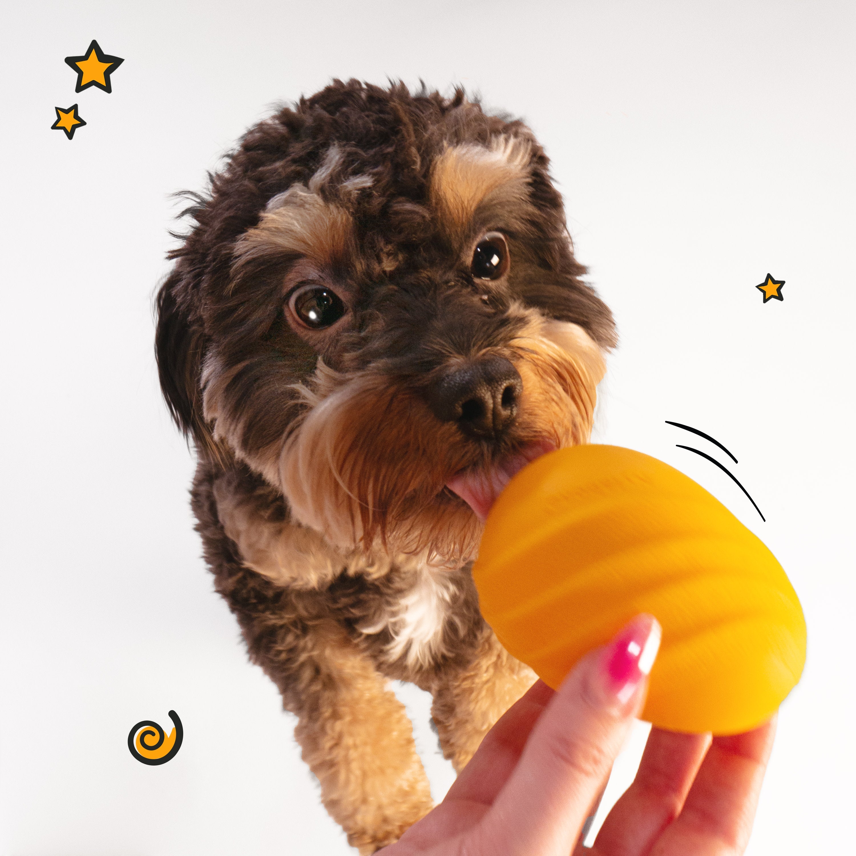 Nylabone Creative Play Eggi Dog Treat Toy Orange, 1ea/SMall/Regular  Up To 25 Ibs. 1 ct