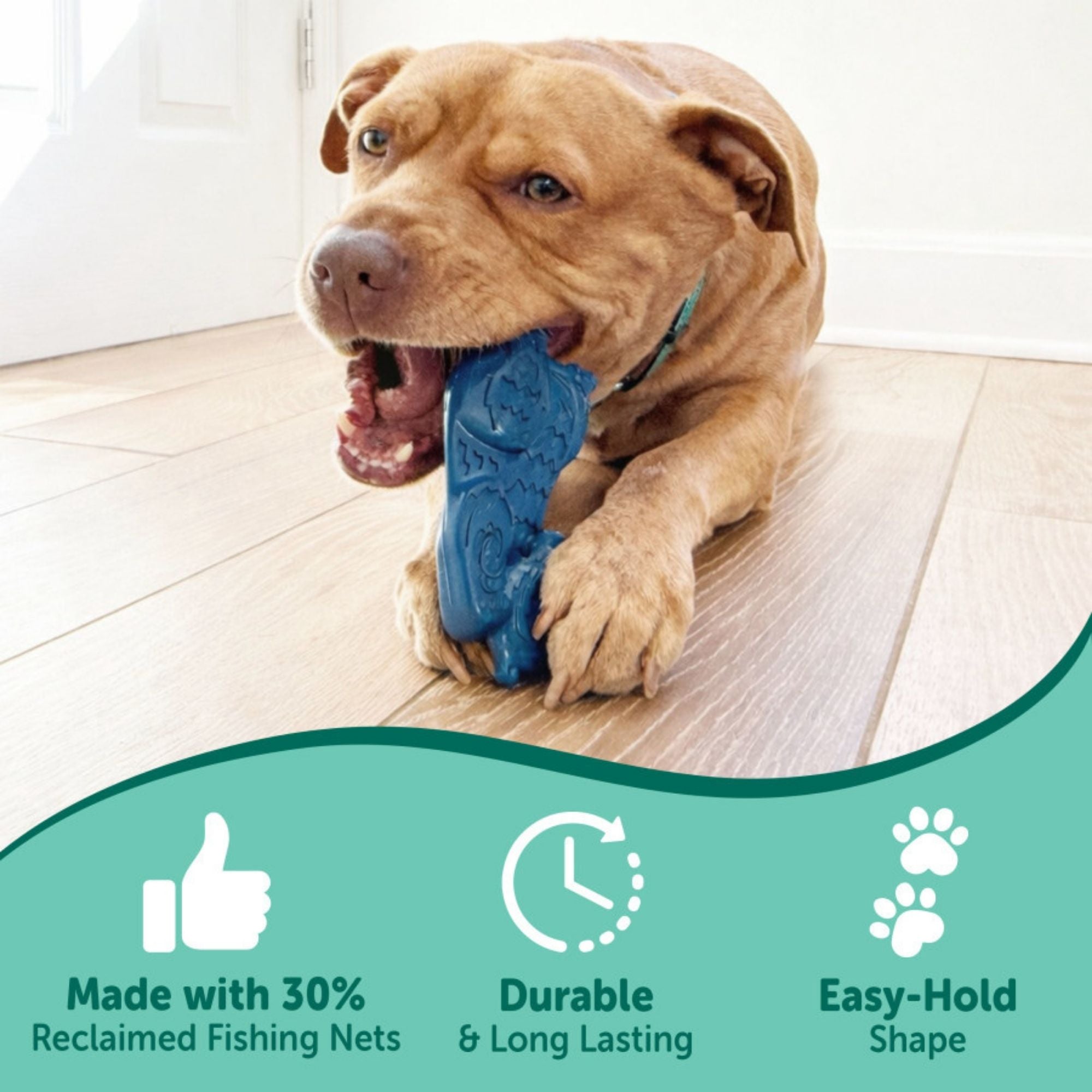 Nylabone Power Chew Love Our Oceans Teddy Bear Bone Dog Chew Toy Beef Jerky, 1ea/Large