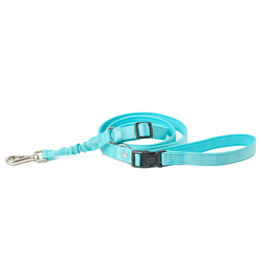 3-in-1 City Dog Leash - Fifth Avenue Dogistry™