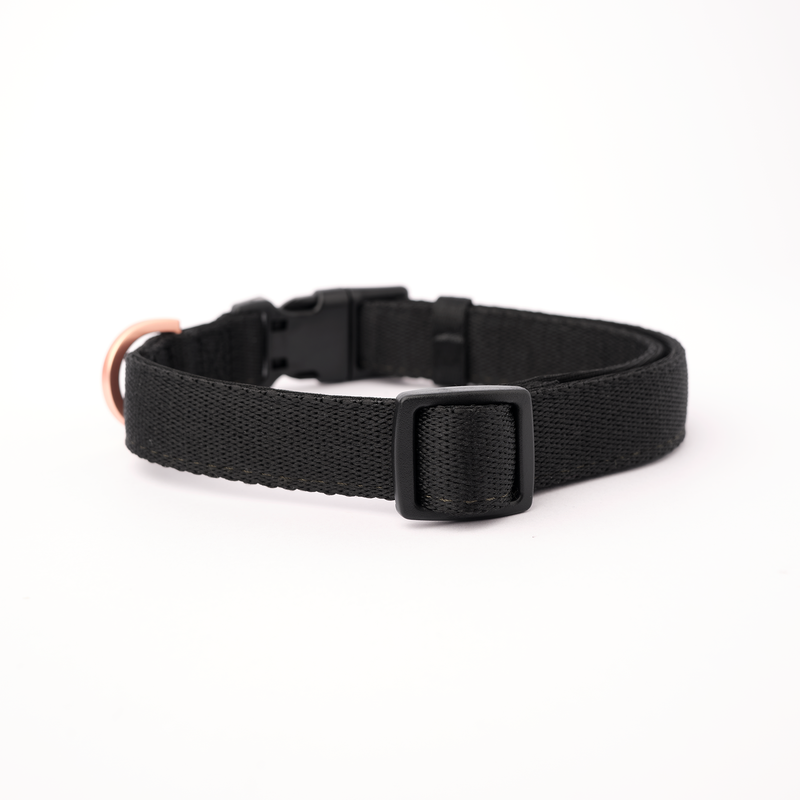 City Collar - Black