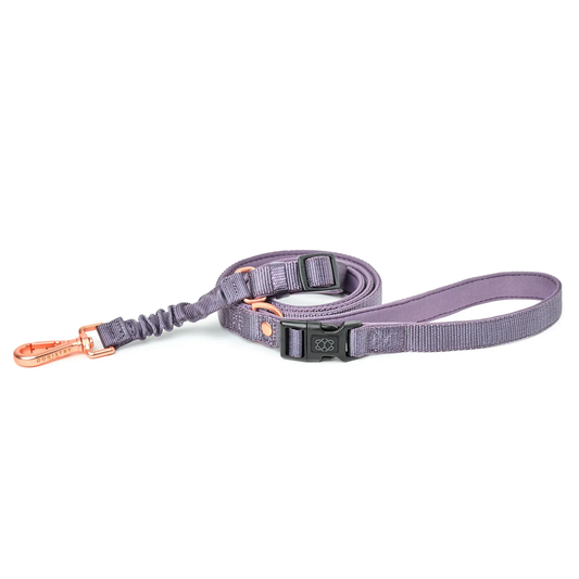 3-in-1 City Dog Leash - Lilac Gray Dogistry™