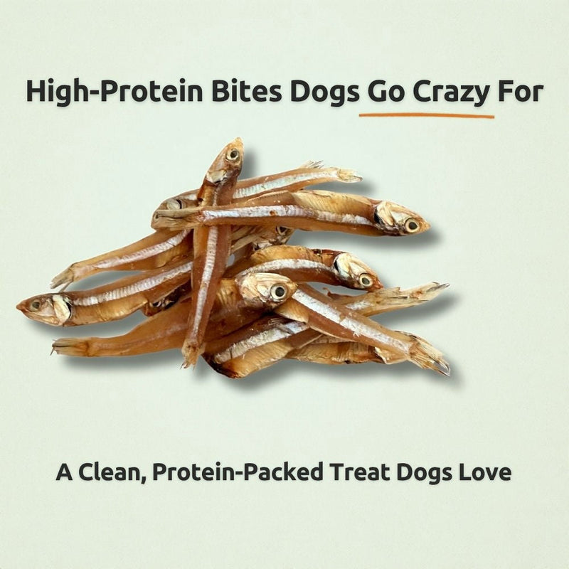 Freezbone Sprats Dog Treats - Single ingredient High Protein  (Value Size 8 oz)