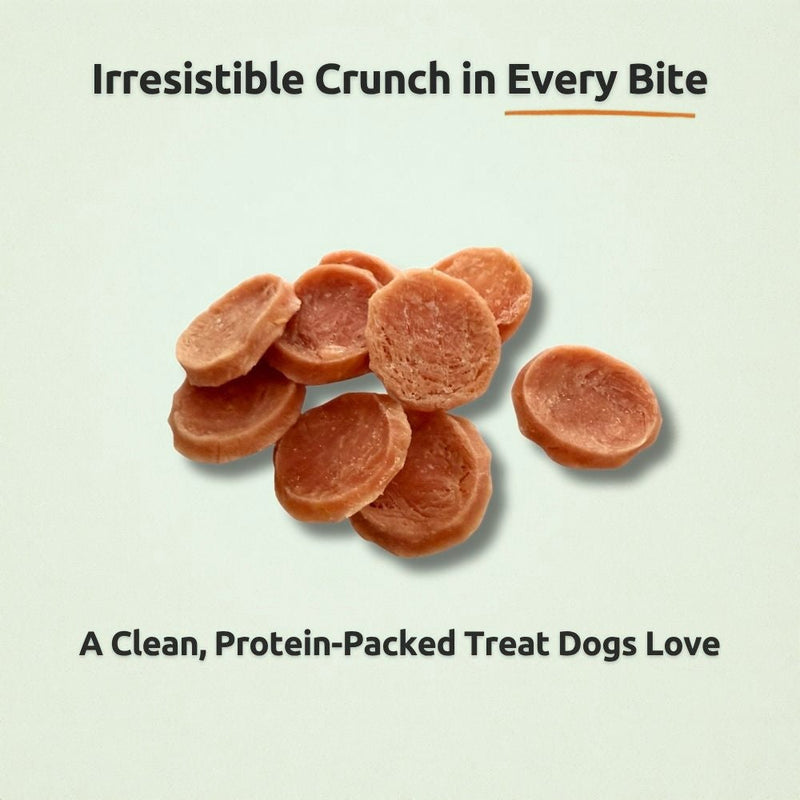 Freezbone Chicken Chips Dog Treats – Single Ingredient High Protein (Value Size 8 oz)