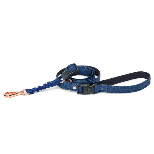 3-in-1 City Dog Leash - Denim Dogistry™