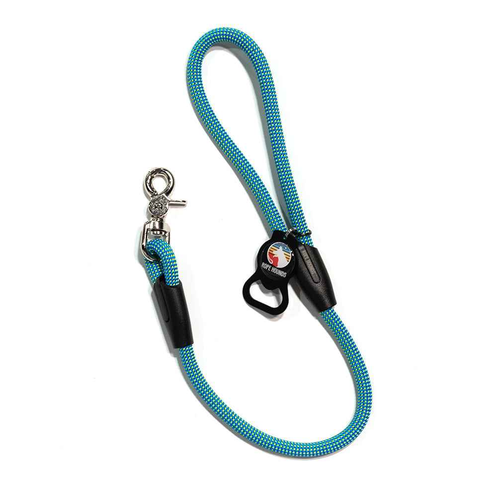 2' Dog Traffic Lead - Blues