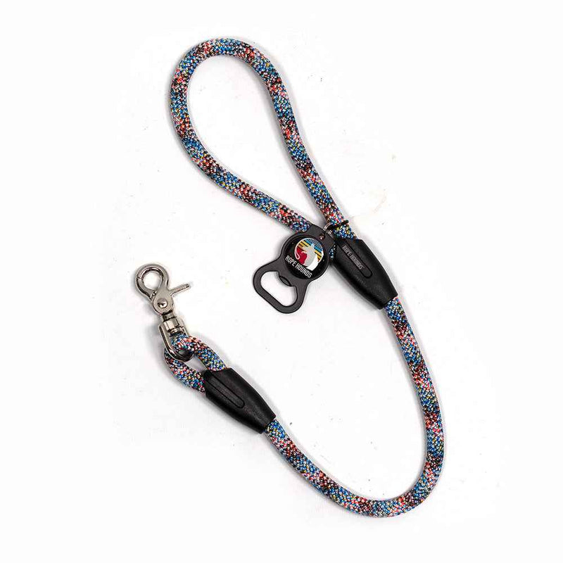 2' Dog Traffic Lead - Multicolor
