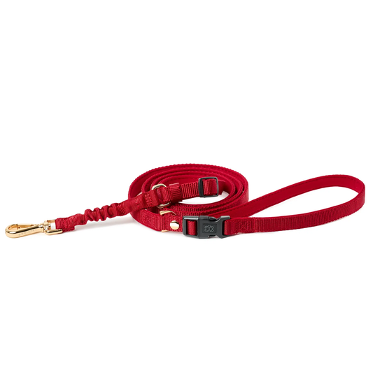 City Dog Leash - Iconic Red Dogistry™