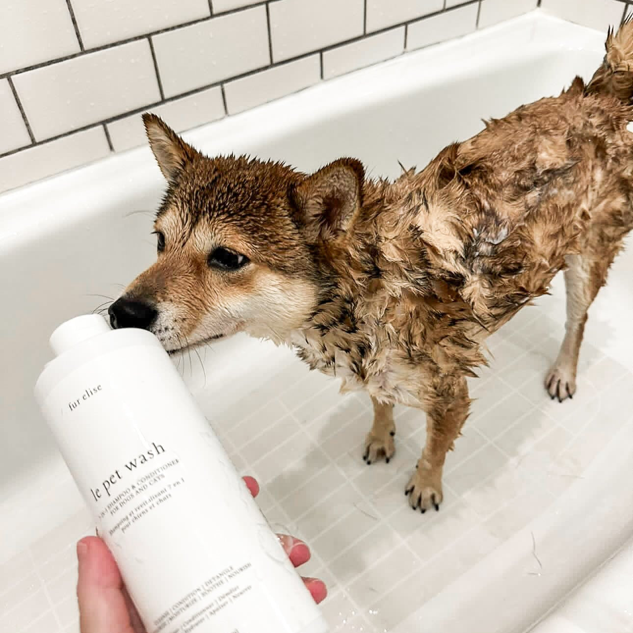 Le Pet Wash Elise Galleria