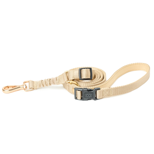 City Dog Leash - Dune Dogistry™