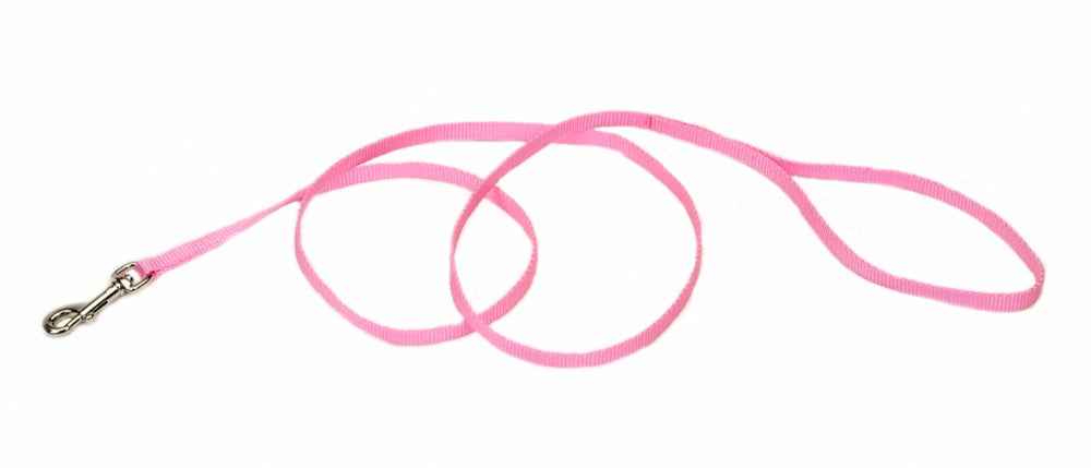 Coastal Single-Ply Nylon Leash Bright Pink 3/8X4Ft