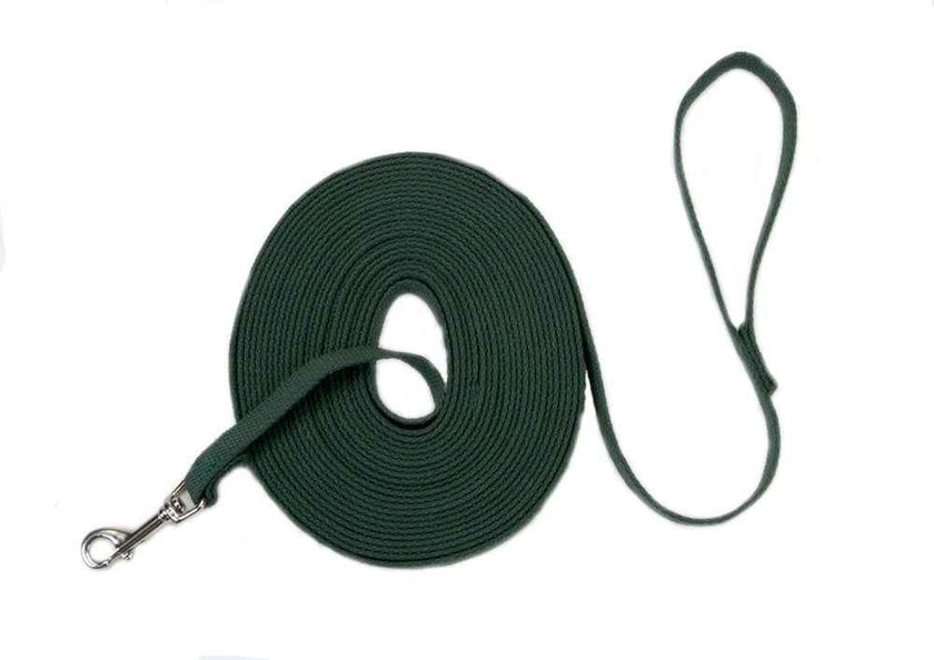 Train Right Cotton Web Training Dog Leash Green 1ea/5/8 In X 20 ft