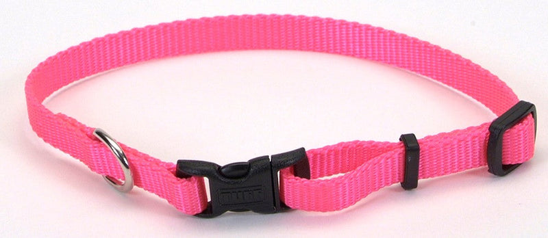 Coastal Adjustable Nylon Dog Collar with Plastic Buckle Neon Pink, 1ea/3/8 In X 812 in