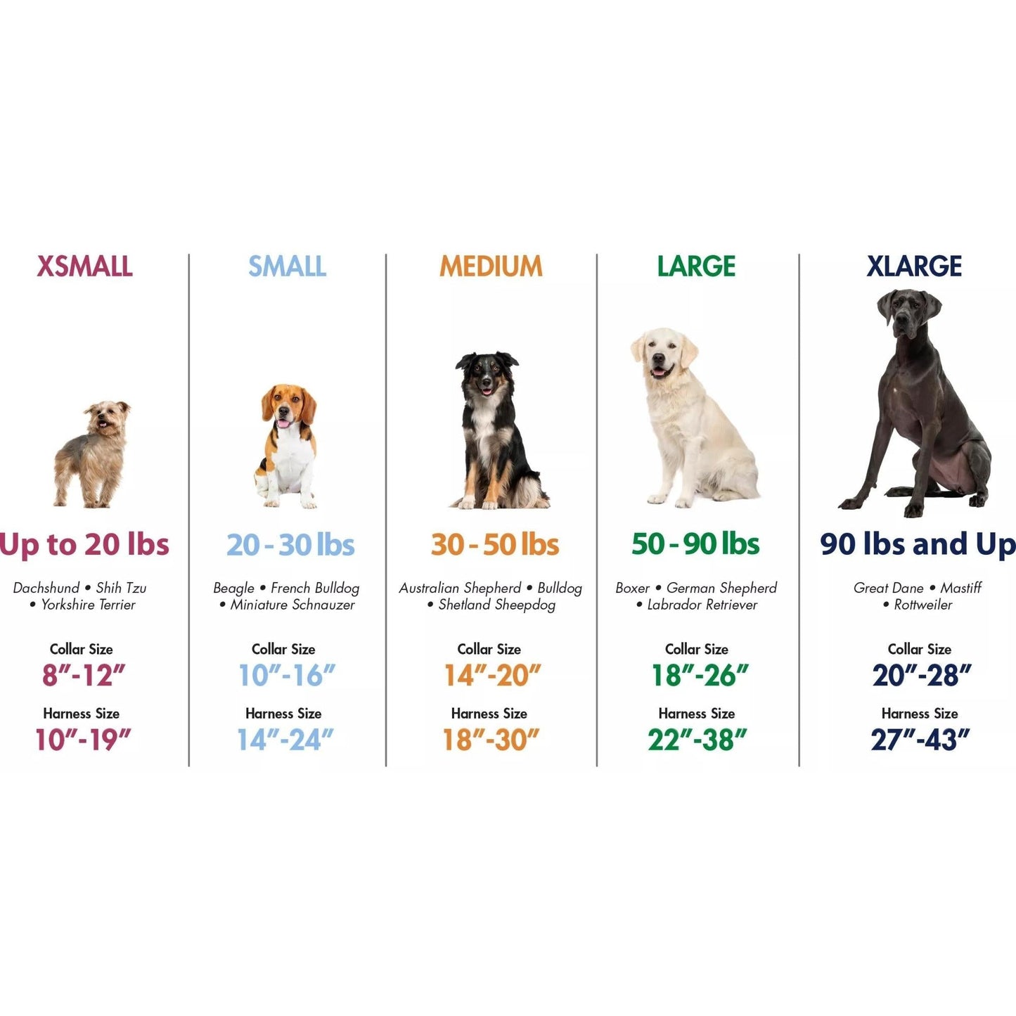 K9 Explorer Brights Reflective Adjustable Dog Collar Meadow Medium 1"x 12"-18" Default Title