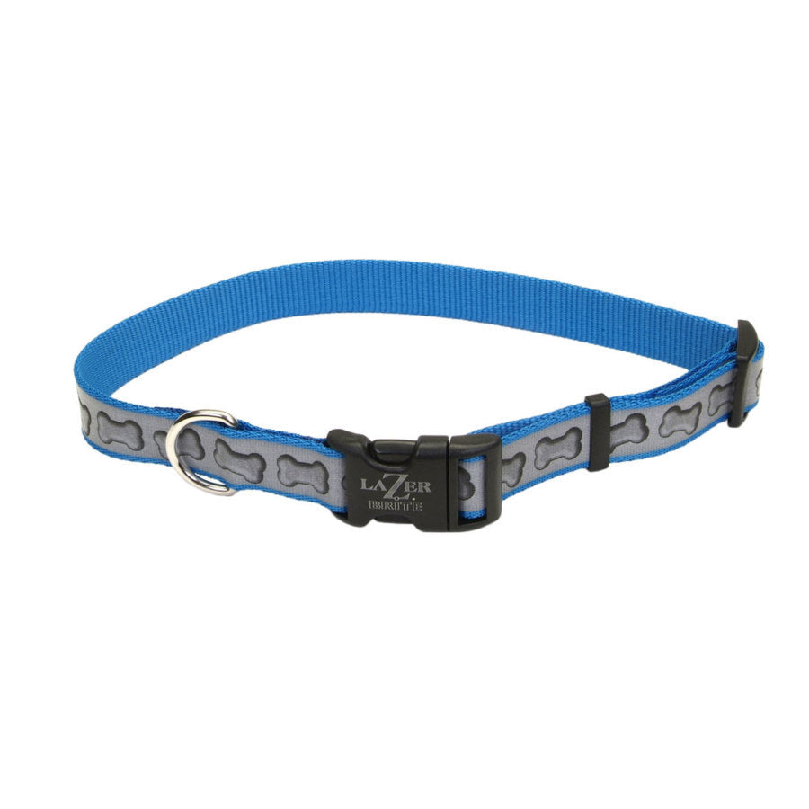 Coastal Lazer Brite Reflective Adjustable Dog Collar Turquoise Bones 5/8X12-18in