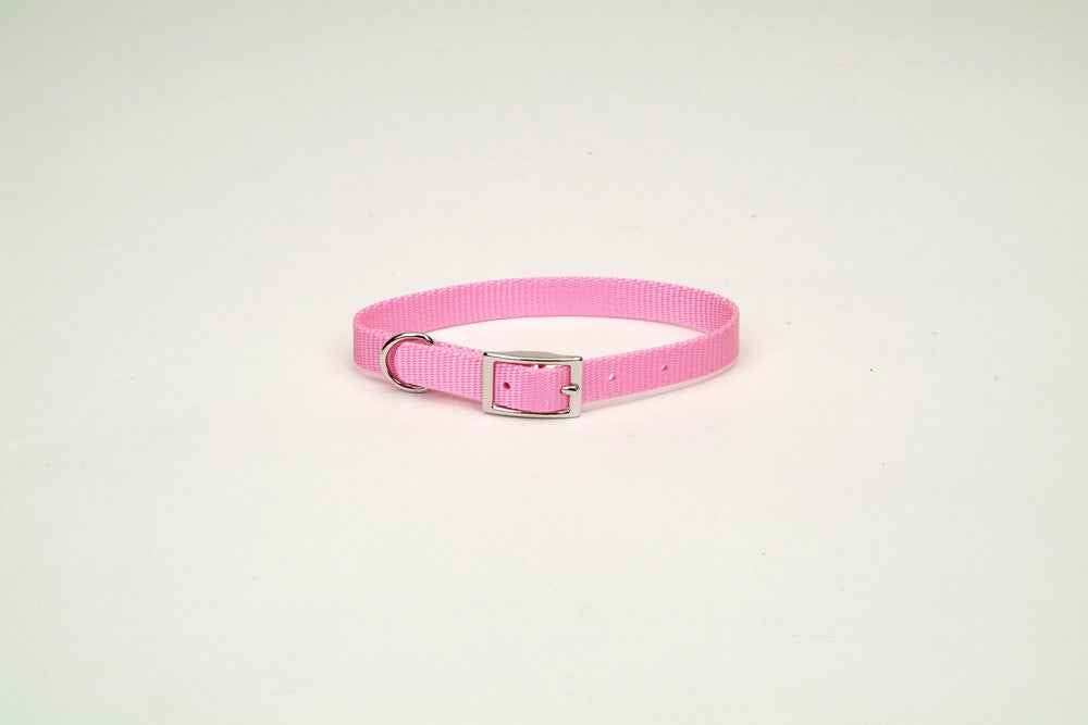 Coastal Single-Ply Nylon Collar Bright Pink 3/4X16In
