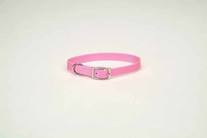 Coastal Single-Ply Nylon Collar Bright Pink 3/4X16In