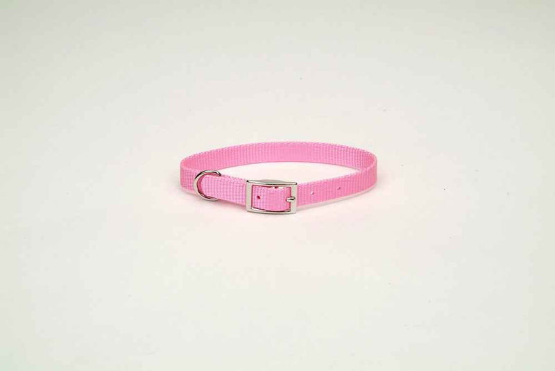 Coastal Single-Ply Nylon Dog Collar Pink Bright 1ea/3/4 In X 18 in
