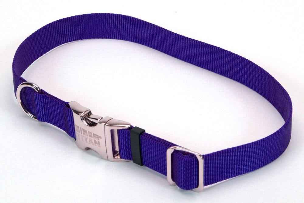Coastal Adjustable Nylon Dog Collar with Titan Metal Buckle Blue 1ea/3/4 In X 14-20 in