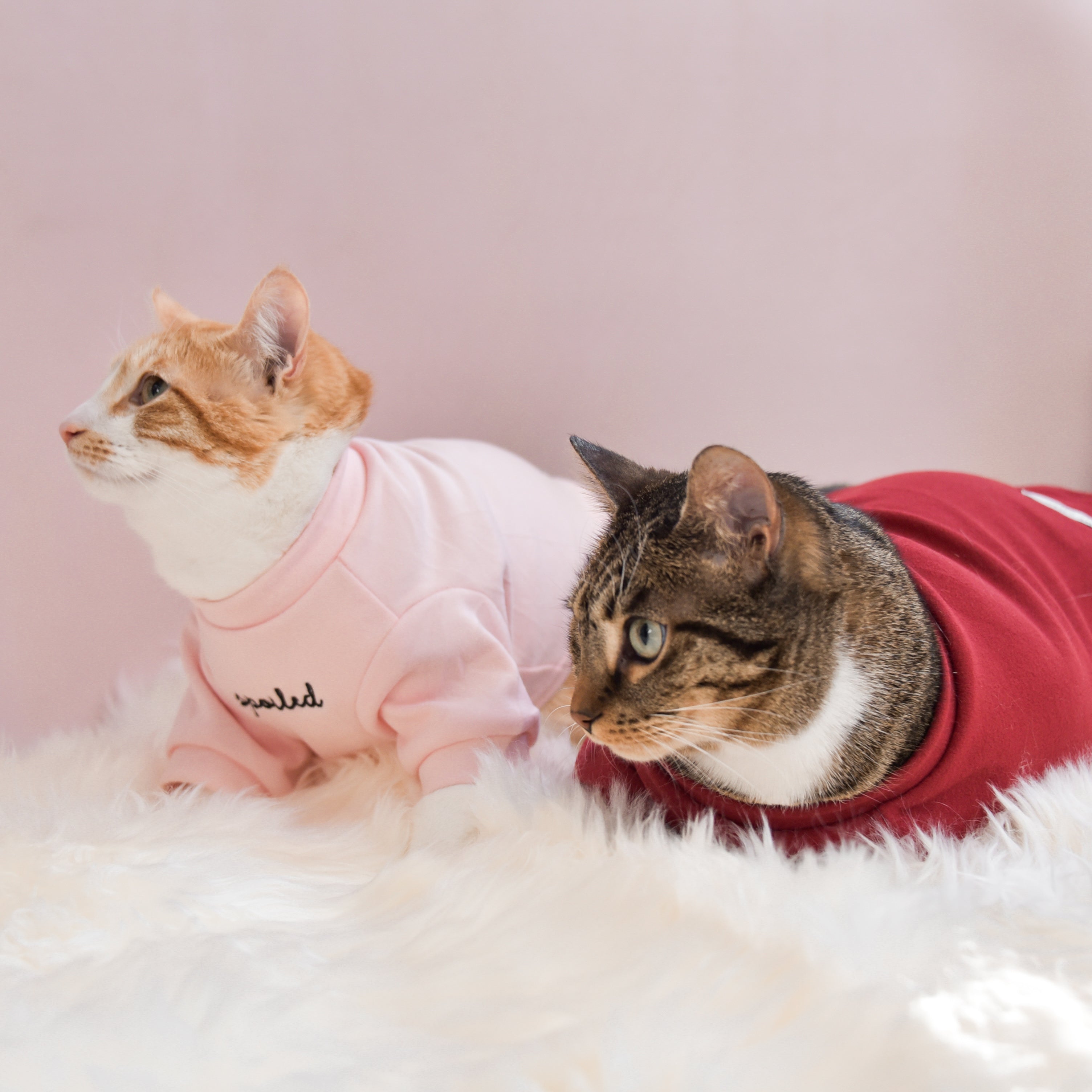Fur Elise Spoiled Mock Neck Shirt - Lucky
