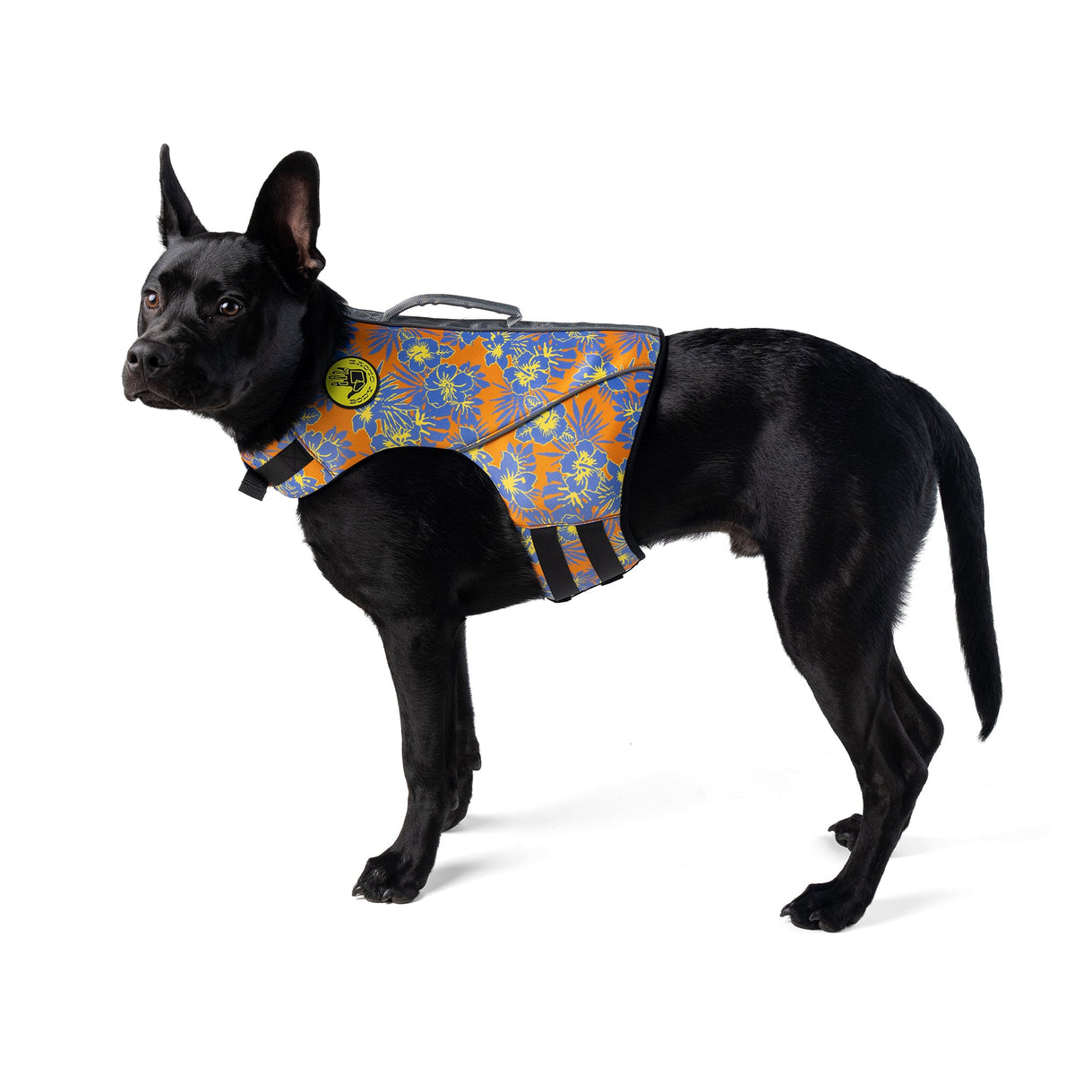 Body Glove Floral Neoprene Dog Life Jacket