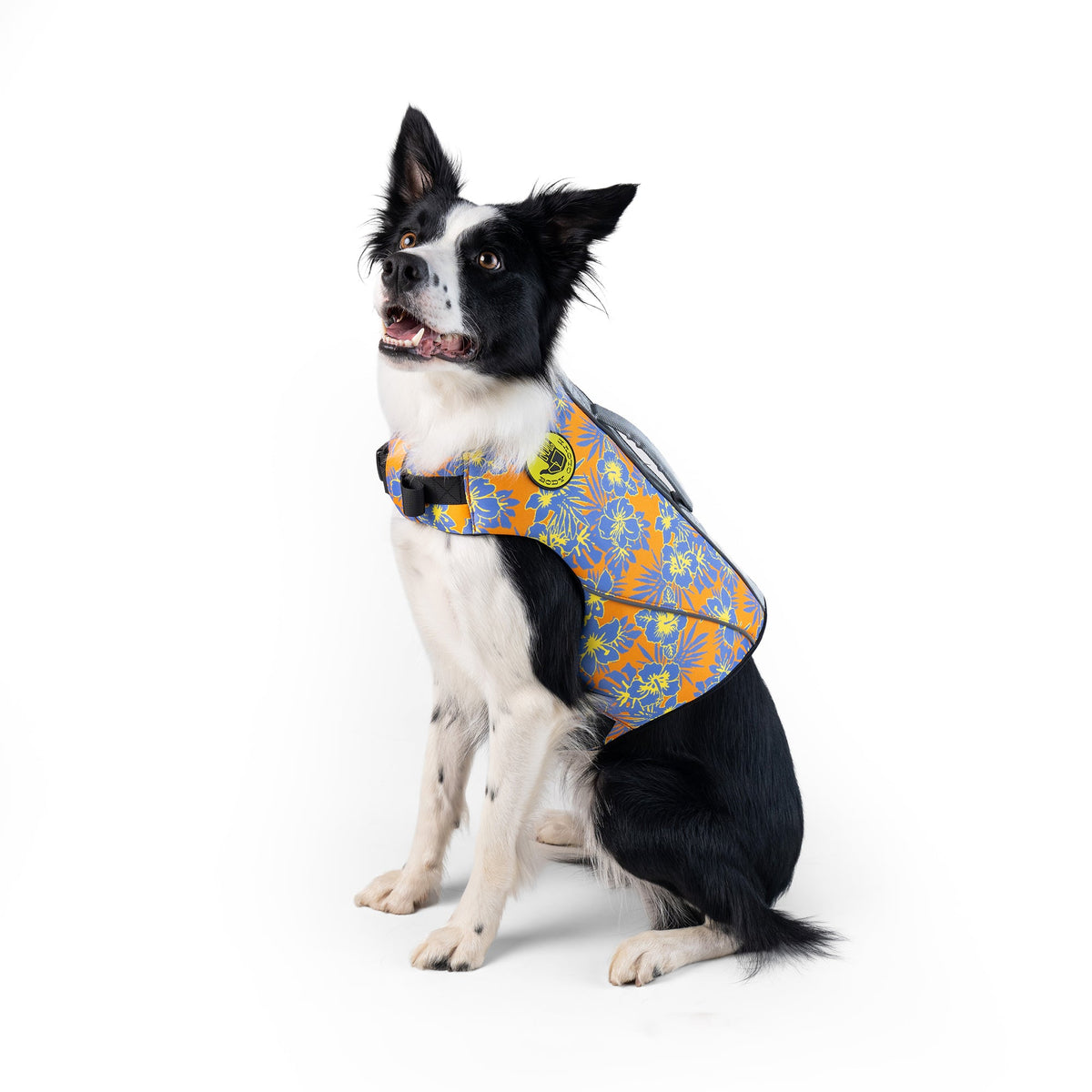 Body Glove Floral Neoprene Dog Life Jacket in Floral Pink