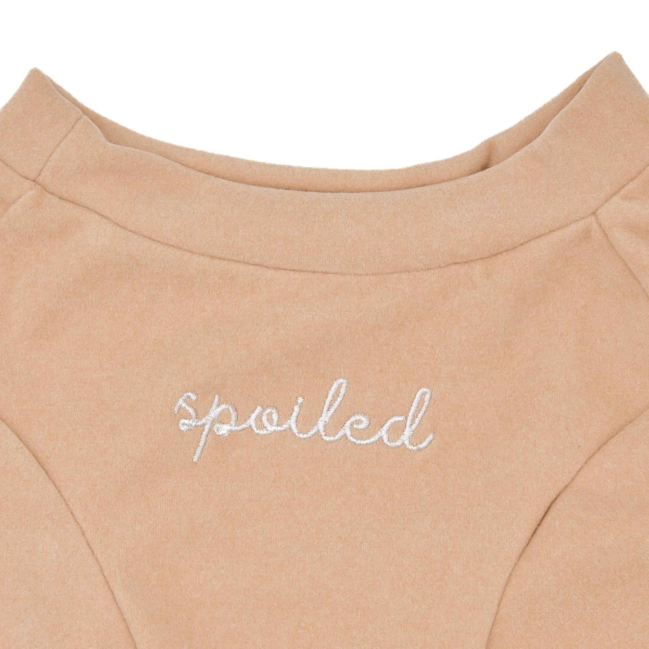 Fur Elise Spoiled Mock Neck Shirt - Latte